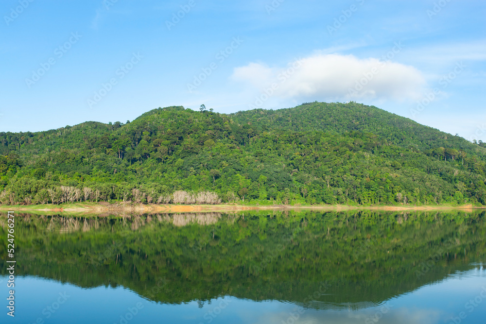 湖面或池塘上的云层与山地热带林地的美丽倒影