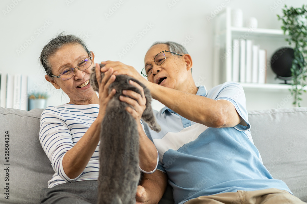 亚洲一对高级夫妇在客厅里抚摸家猫玩耍。