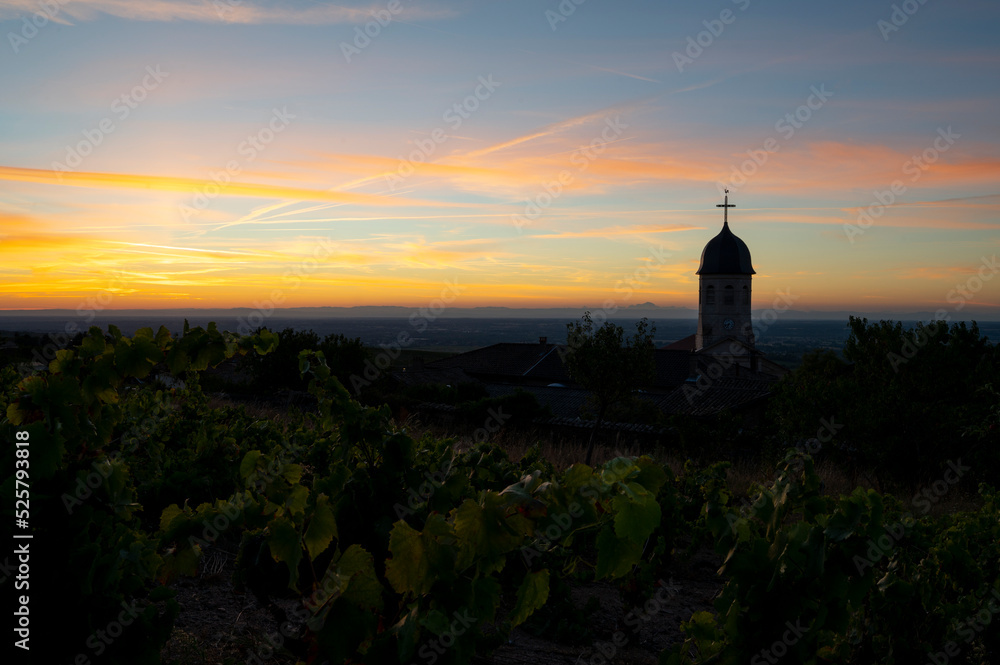 Paysage du Beaujolais au lever du jour autour du village viticole de Chiroubles en été en France dan