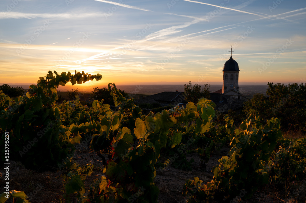 Paysage du Beaujolais au lever du jour autour du village viticole de Chiroubles en été en France dan