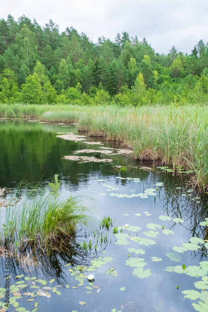 Botanischer Naturlehrpfad bei Paluse im Bezirk Ignalina Litauen Lietuva