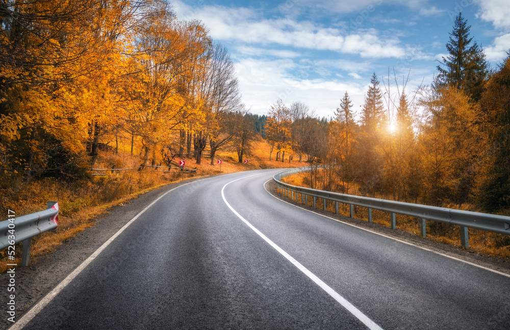 日落时秋林中的道路。美丽的空旷山路，桔黄色树叶的树木，overca