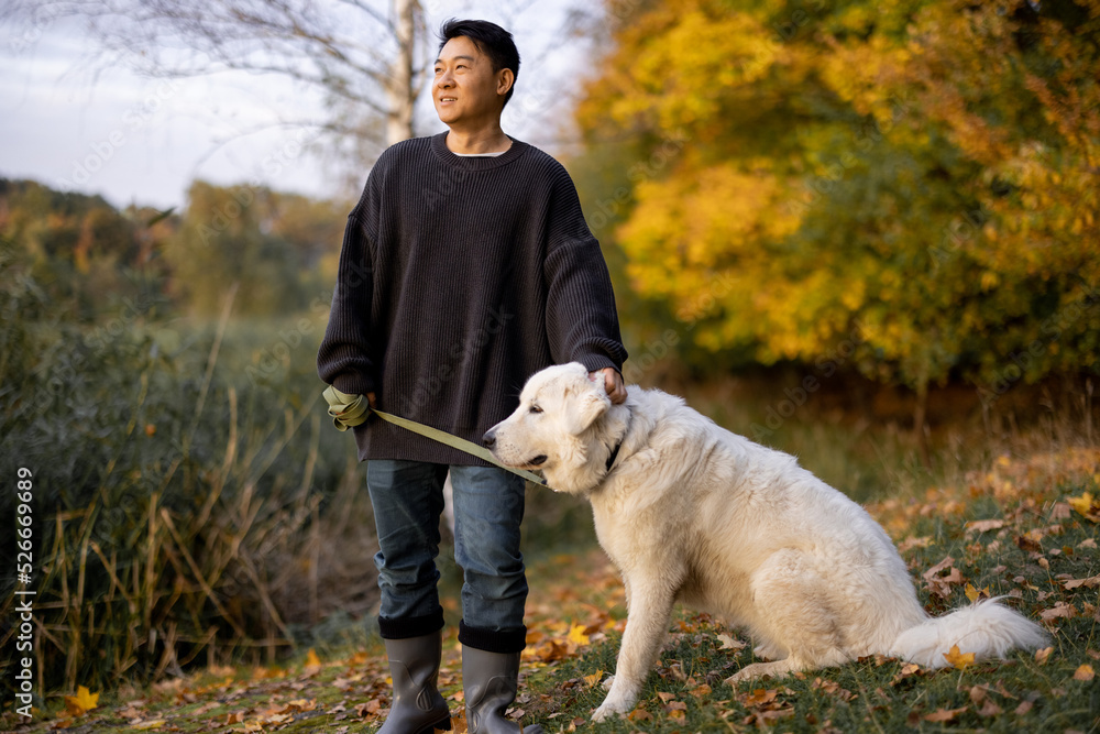 一个快乐的亚洲男人站着，抚摸着他的Maremmano Abruzzese牧羊犬，凝视着大自然。