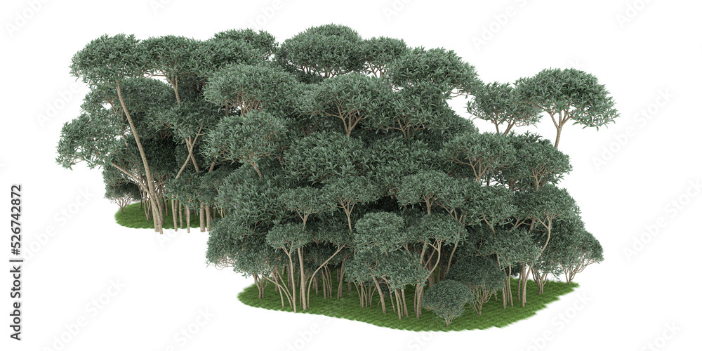 Forest on transparent background. 3d rendering - illustration