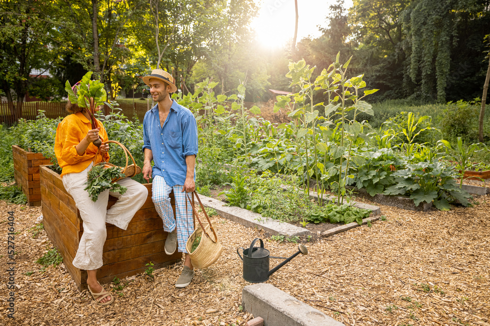 Stylish couple talk while standing together with freshly picked vegetables at home garden. Concept o