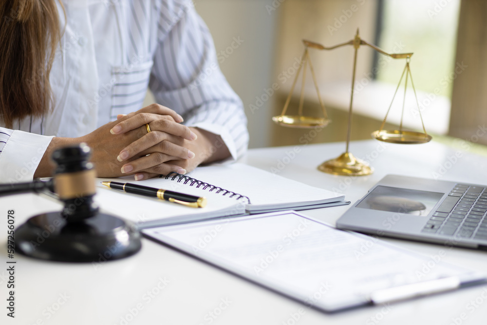 Female lawyer working in a law firm.