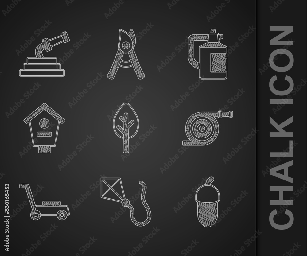 Set Forest, Kite, Acorn, Garden hose, Lawn mower, Bird house, sprayer for fertilizer and icon. Vecto