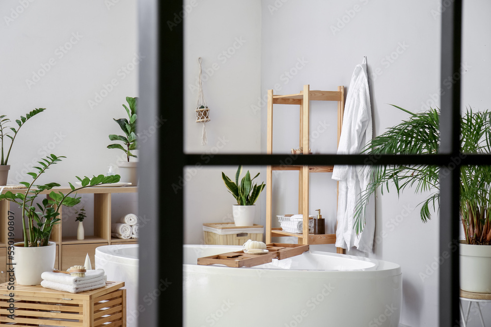 Interior of stylish bathroom with houseplants and shelving unit