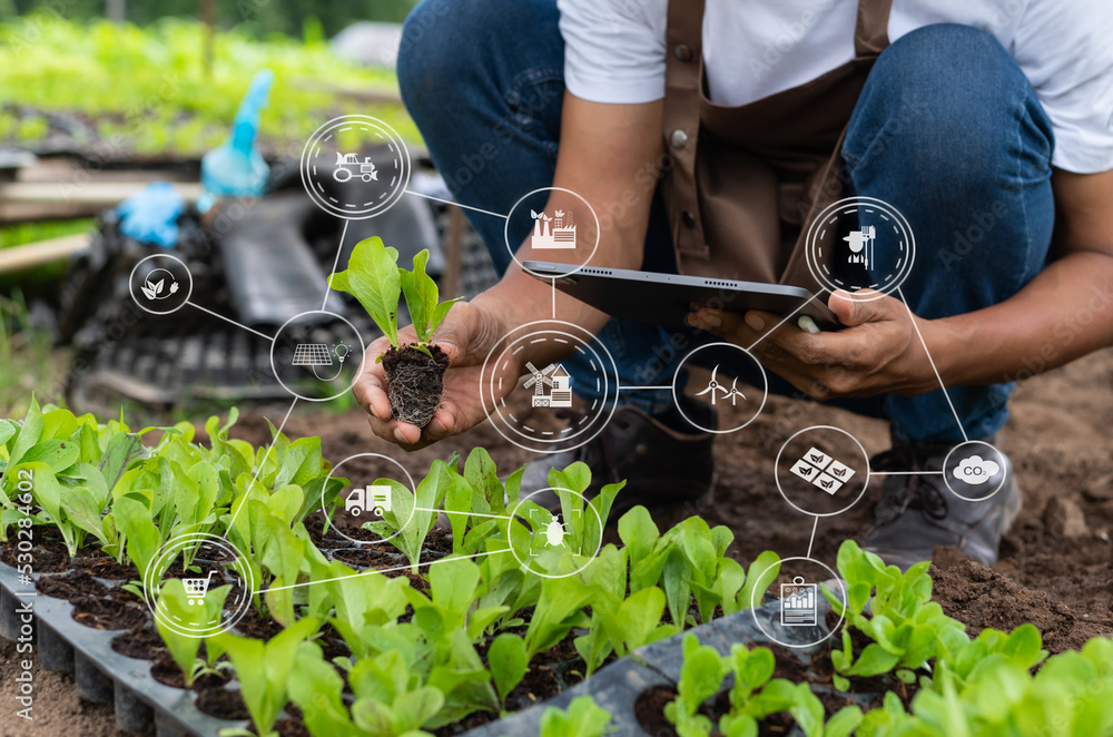 Agriculture technology farmer woman holding tablet or tablet technology to research about agricultur