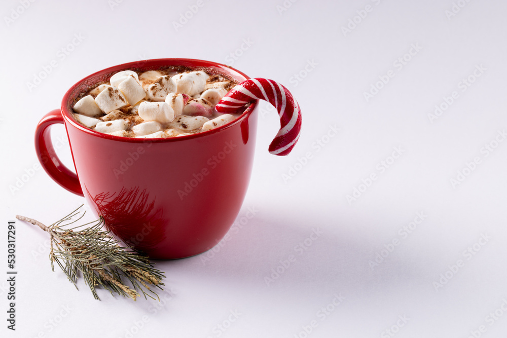 Hot chocolate with marshmallows and christmas cane over white background