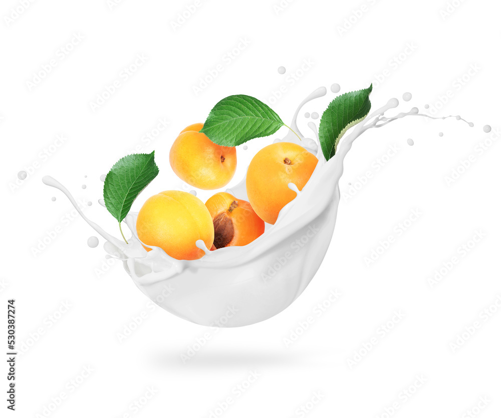 Ripe apricots in milk splashes close-up isolated on white background