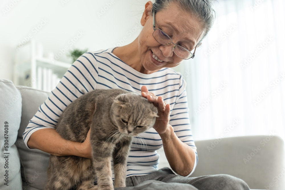 亚洲资深女性在客厅里抚摸家猫玩耍。