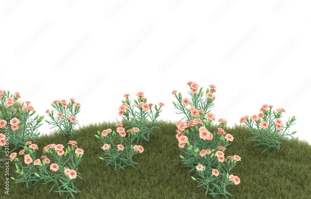 Grass on transparent background. 3d rendering - illustration