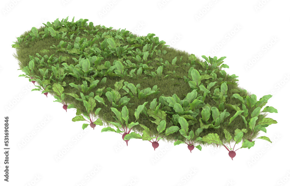 Grass on transparent background. 3d rendering - illustration