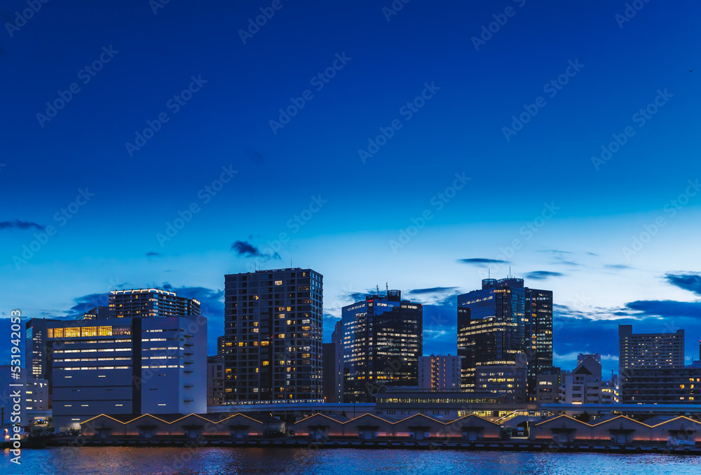 東京の湾岸エリアの夜景