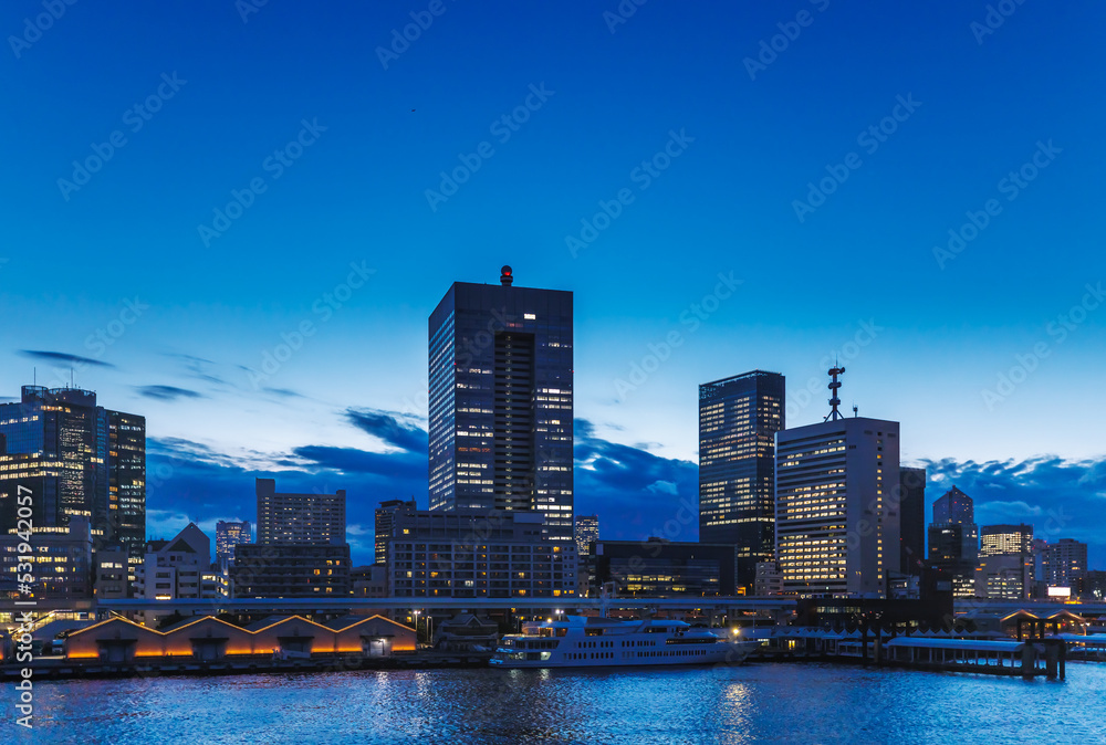 東京の湾岸エリアの夜景