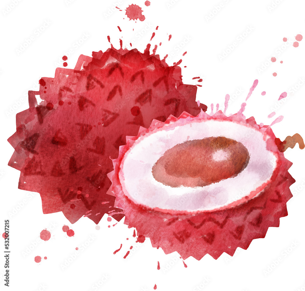 Watercolor illustration of litchi fruit