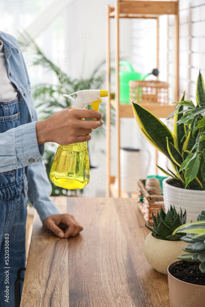 妇女向家里桌子上的室内植物喷水