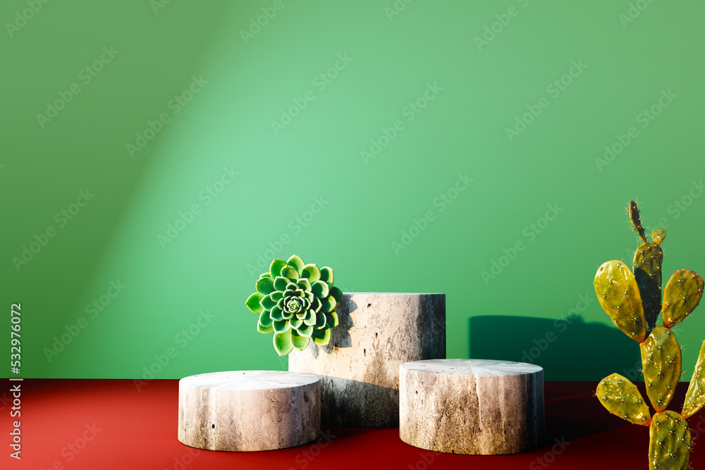 Succulents and cactus with stone podiums - 3D render