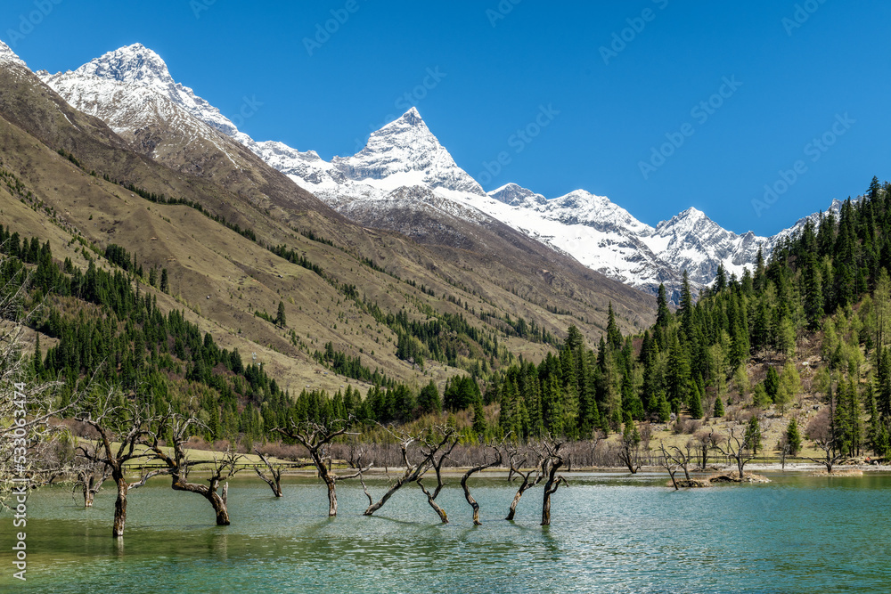 中国四川省成都市四姑娘山风景区的湖泊和雪山。