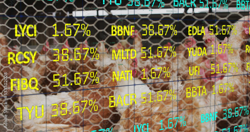 农场鸡的财务数据处理图像