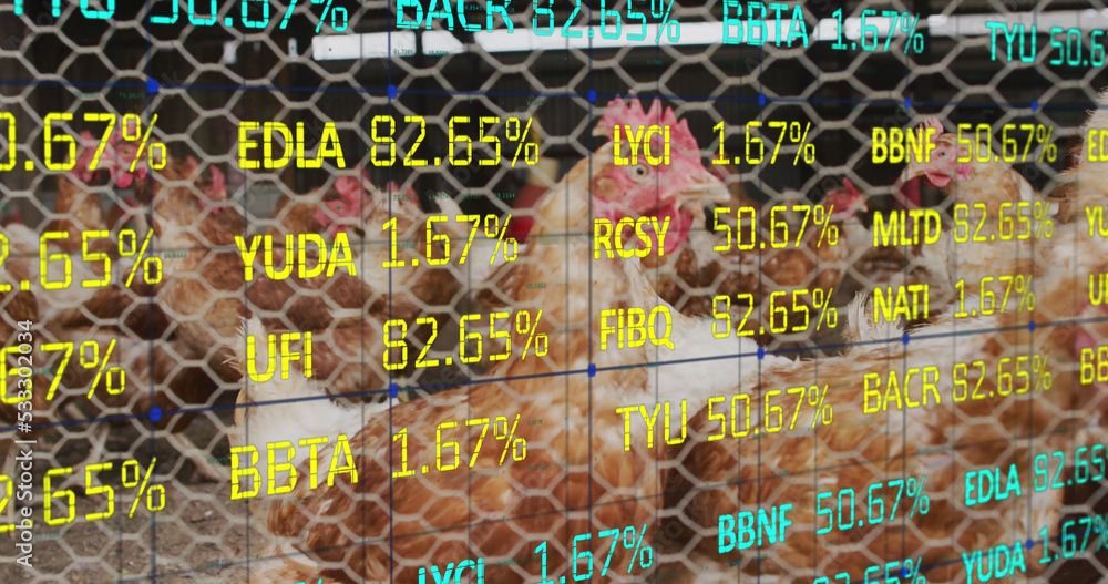 Image of financial data processing over chickens at farm