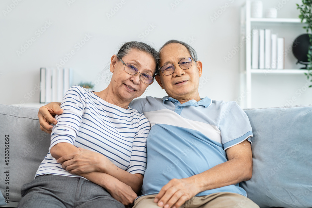 亚洲老年夫妇坐在客厅沙发上的肖像。