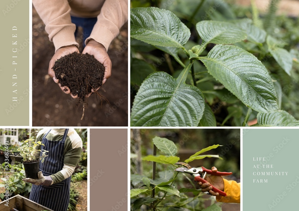 Composition of hand picked text over man in garden