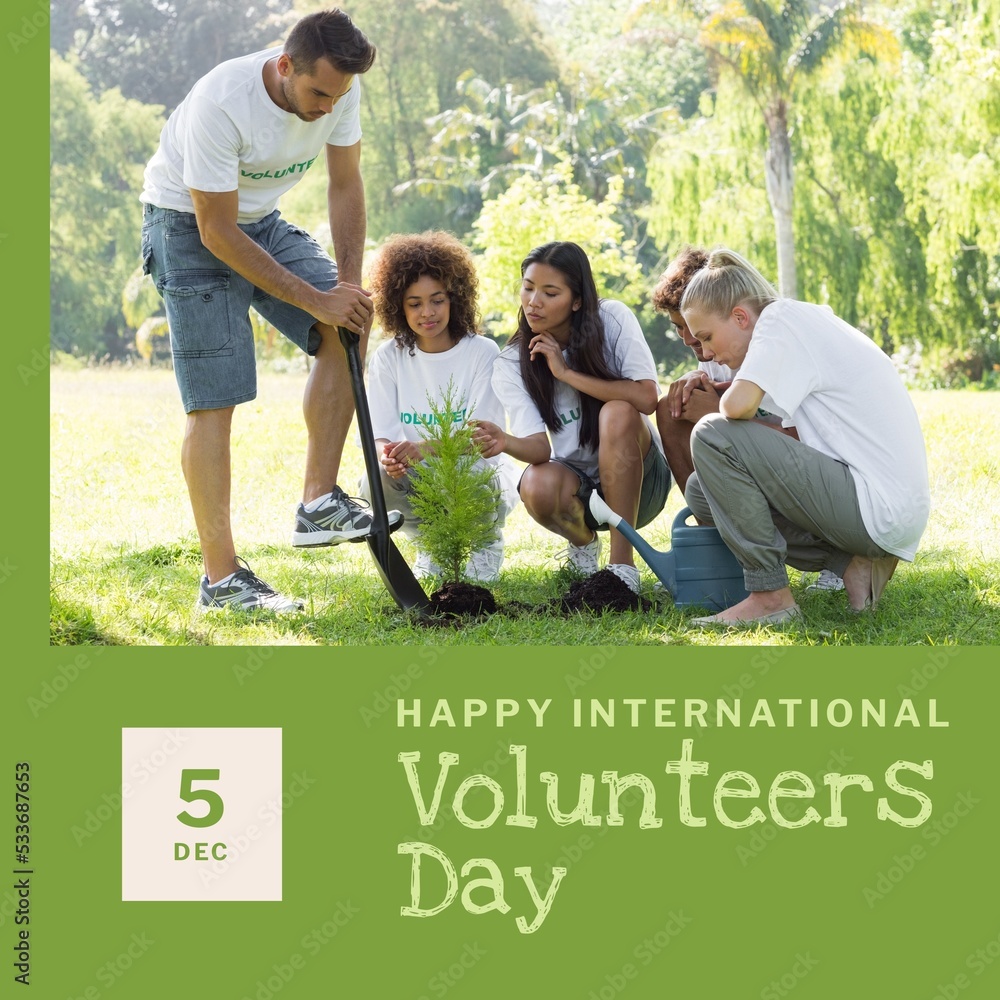 Composition of international volunteer day text and diverse group of volunteers planting tree