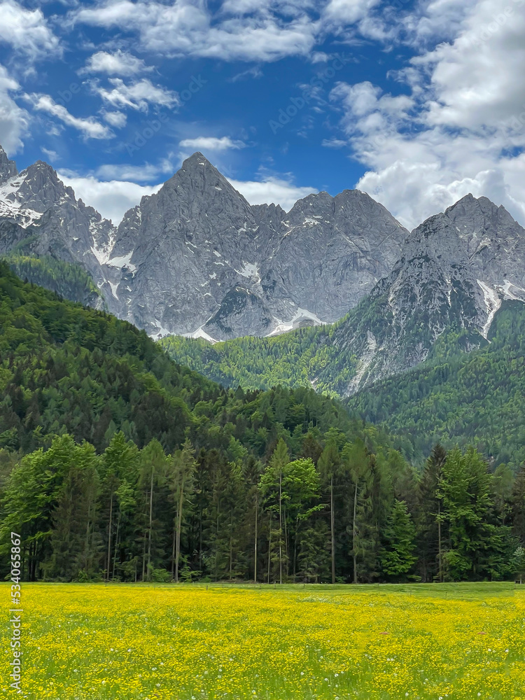 从白云石欣赏美丽的风景，有盛开的草地、森林和山脉