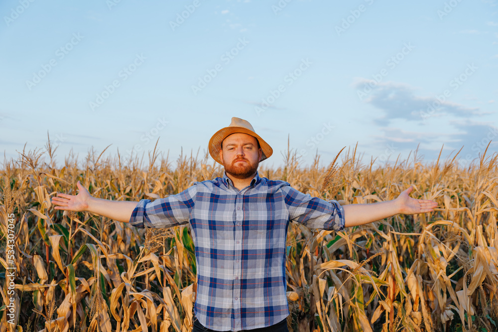 Front view looking to camera a young farmer raised his hands up, standing in a field with corn.