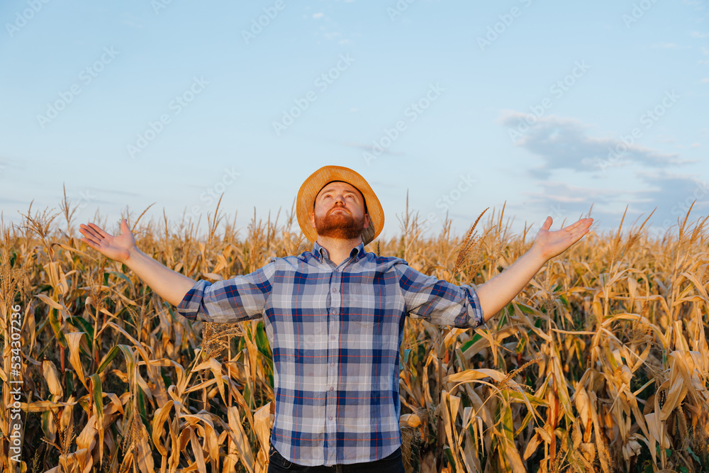 Front view looking up a young farmer raised his hands up, standing in a field with corn.