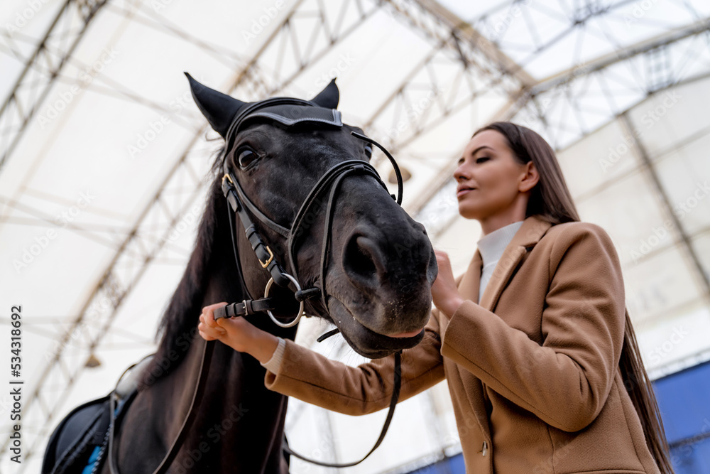 迷人的女模特与马合影。美女骑师与马合影