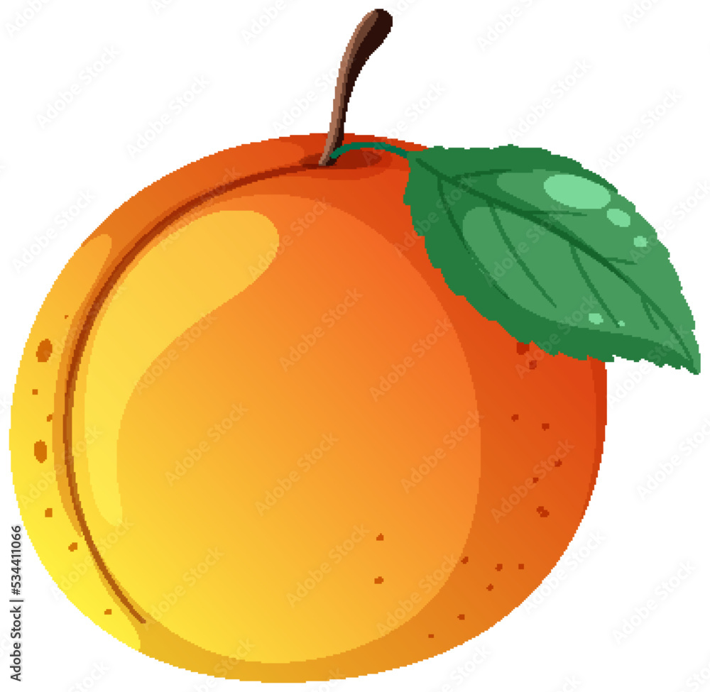 Peach with a leaf vector