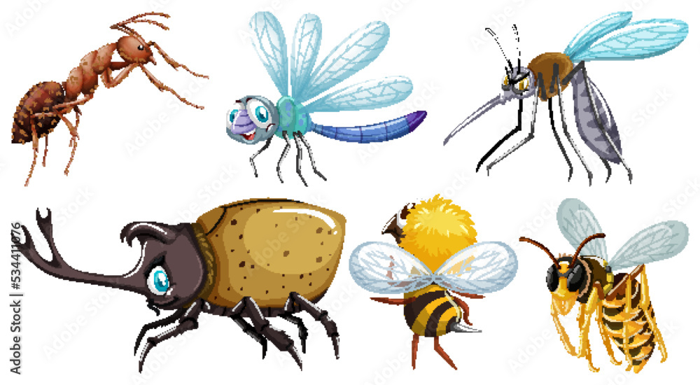 Set of different kinds of insects