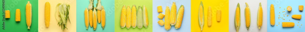 Collage with many corn cobs on colorful background