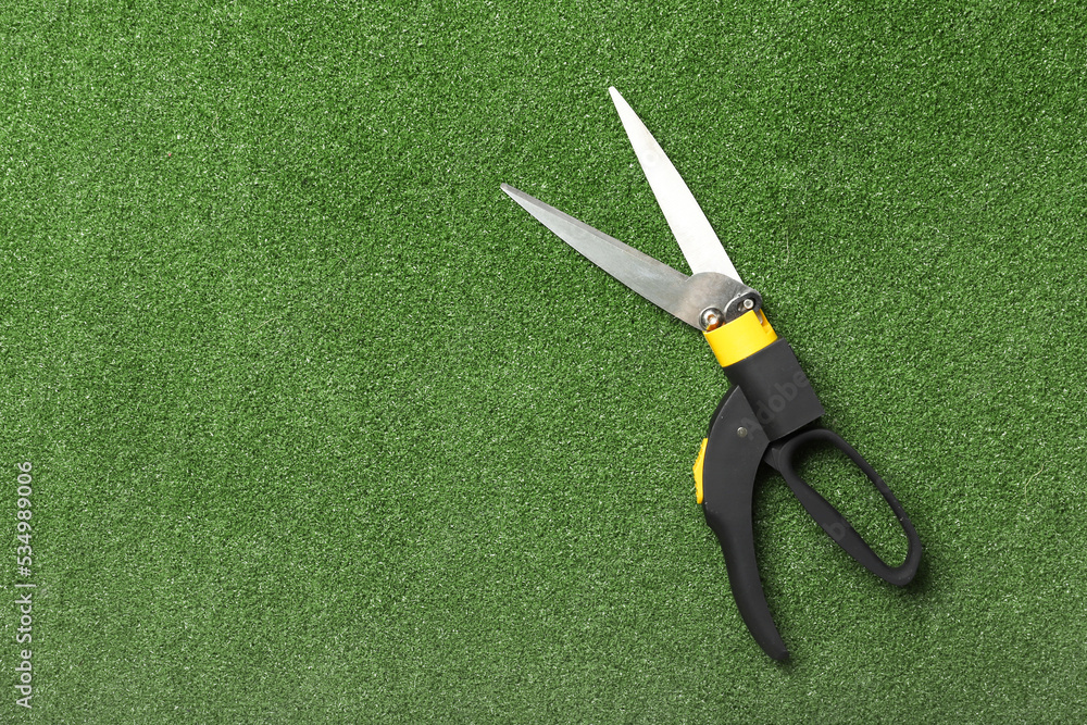 Pruner for gardening on green grass background