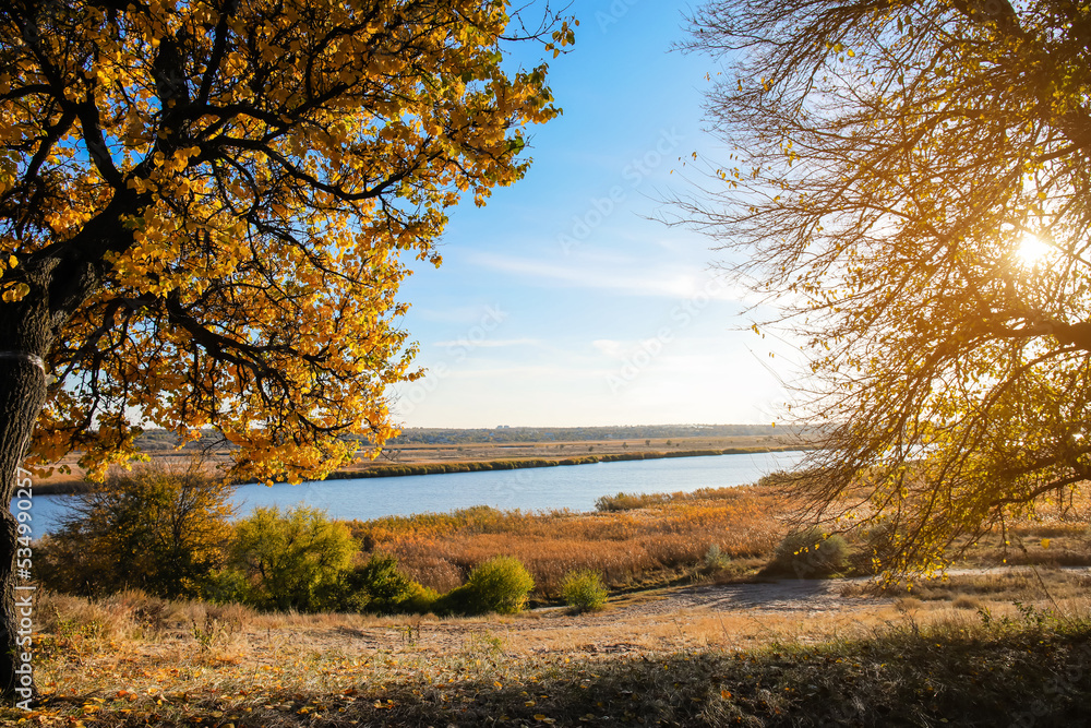 Beautiful view of river and trees with golden leaves on sunny autumn day