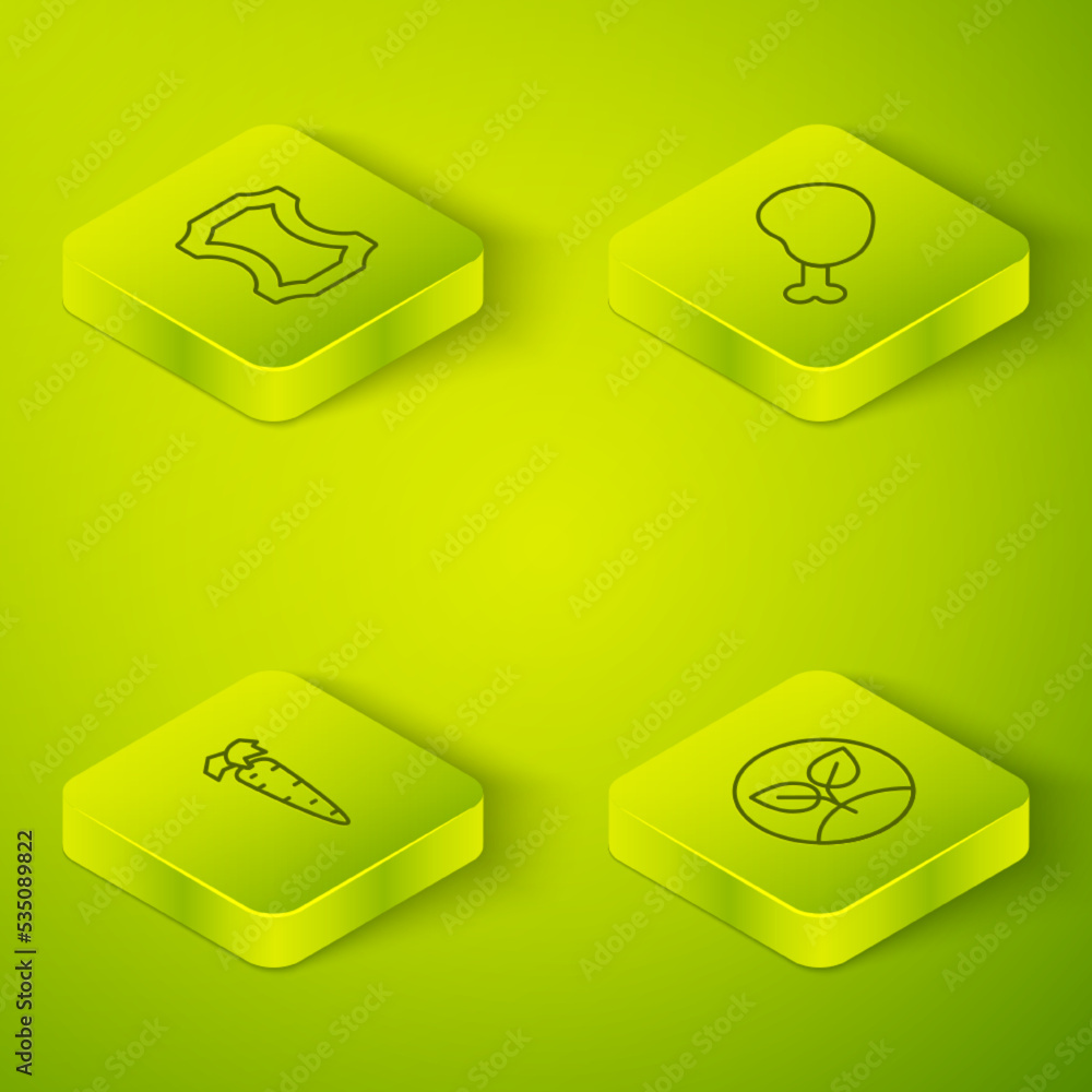 Set Isometric line Chicken leg, Carrot, Sprout and Leather icon. Vector