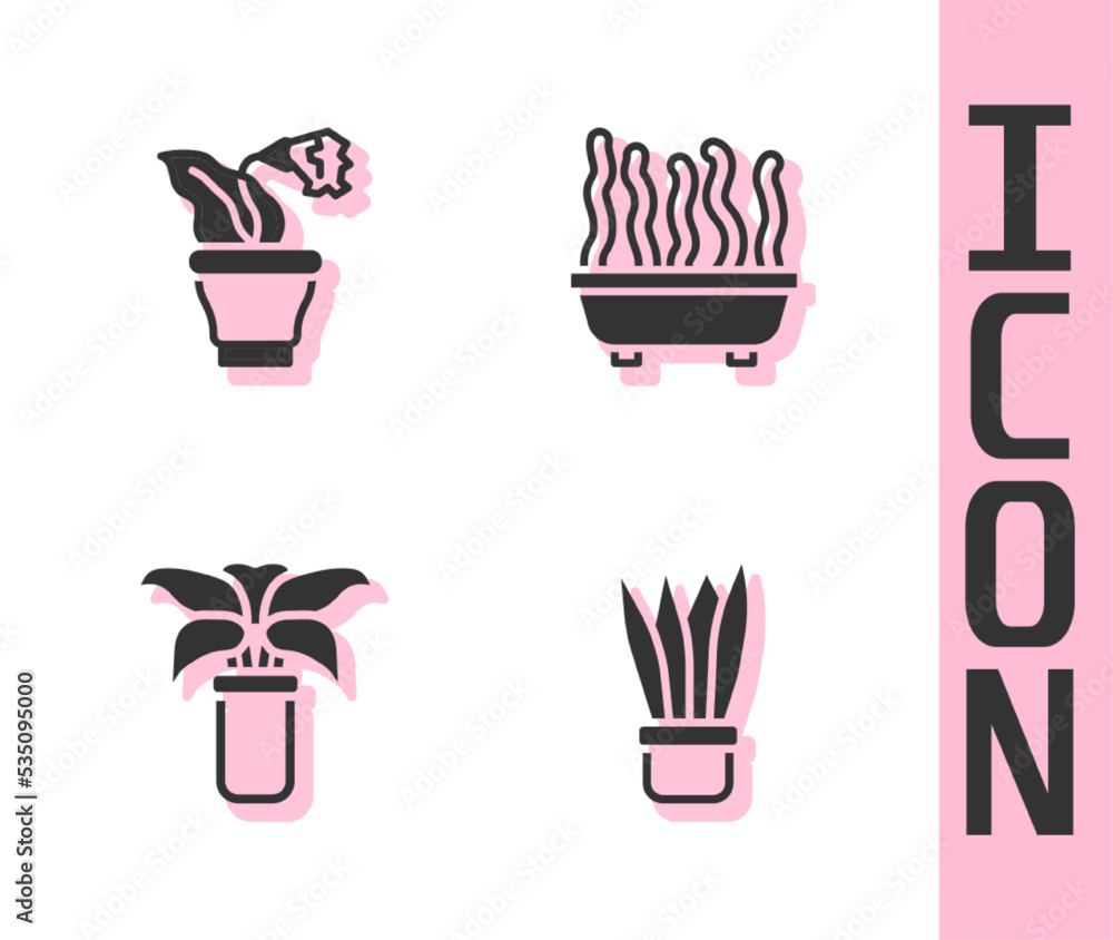 Set Plant in pot, Flower, Exotic tropical plant and icon. Vector