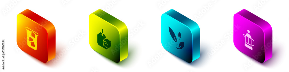 Set Isometric Ice tea，tea bag with lemon，leaf and French press icon.Vvector（套装等轴测冰茶，柠檬、茶叶和法式茶包）