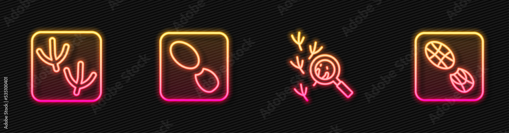 Set line Bird footprint, Dove paw, Human footprints shoes and . Glowing neon icon. Vector