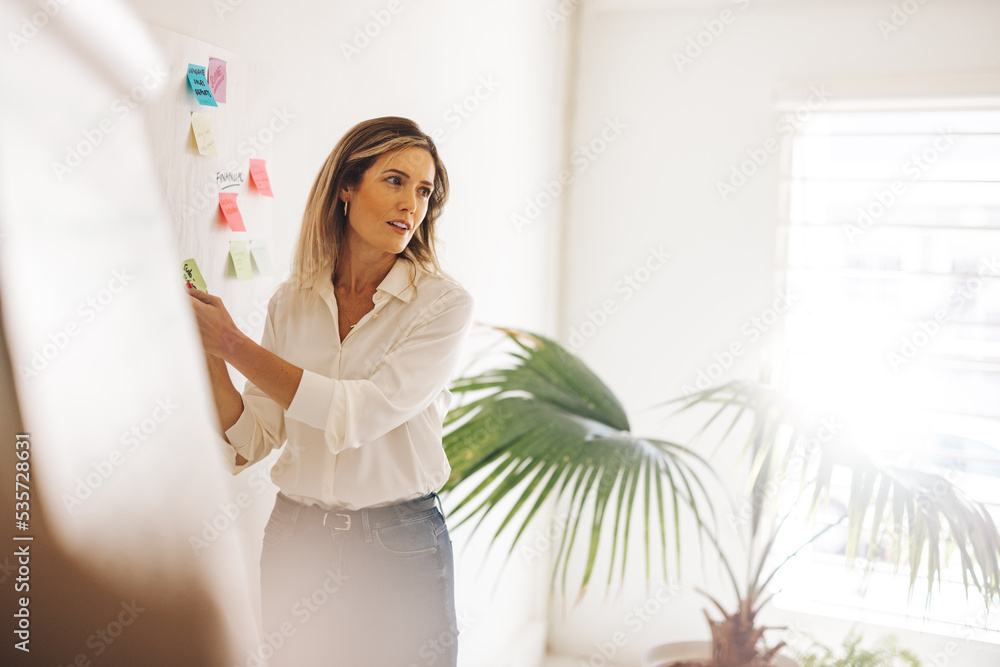 Businesswoman brainstorming with her team