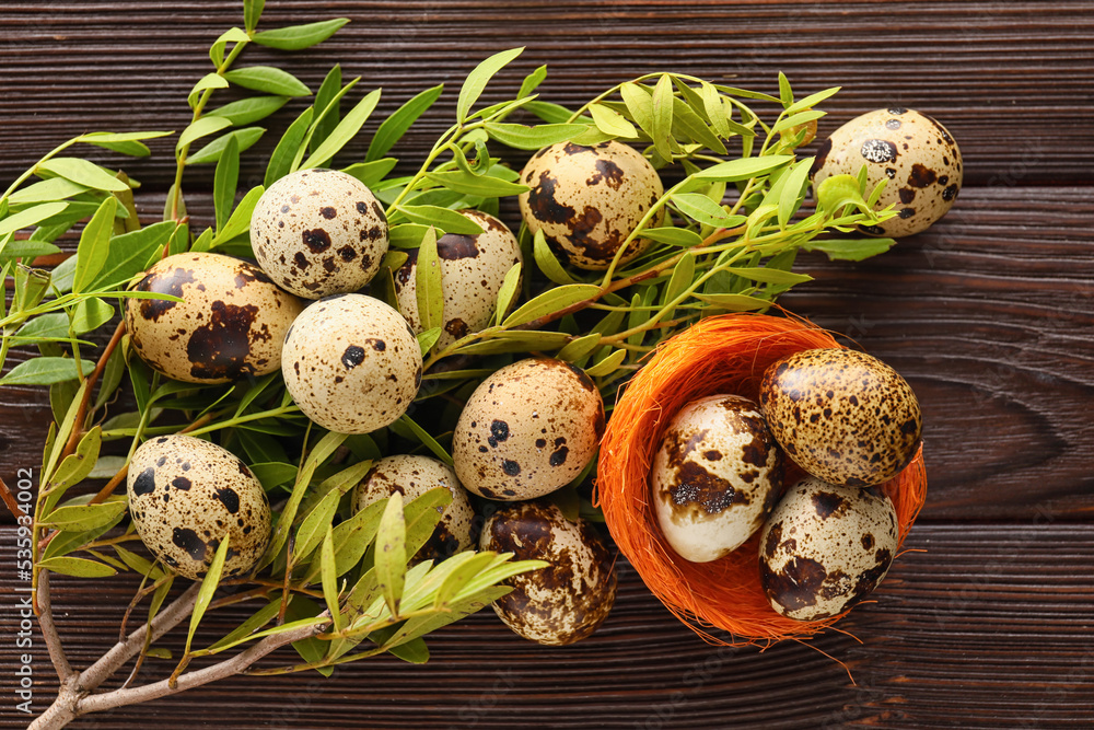 Nest with quail eggs and plant branch on wooden table