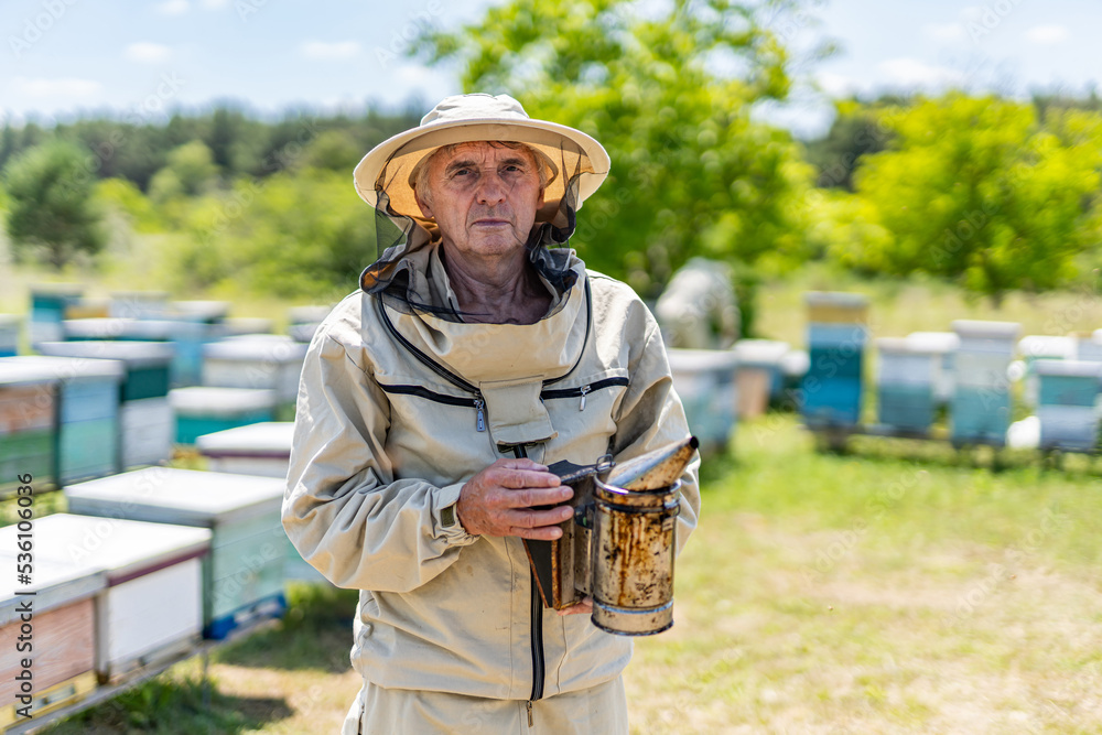 Professional beekeeper working in protective suit. Beekeeping person portrait.