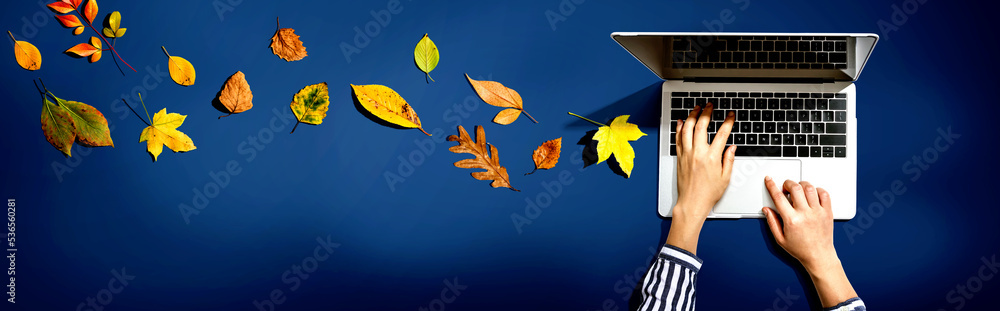 Autumn leaves with person using a laptop computer