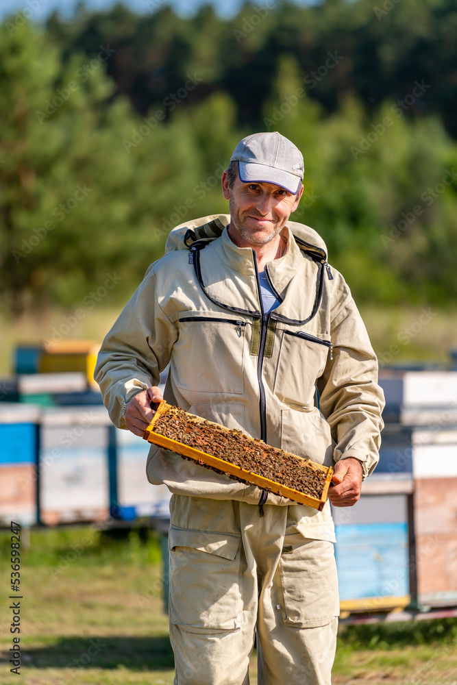 Beekeeper working in apiary. Honeycombs natural honey farming.