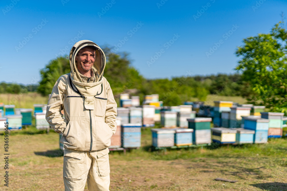 Honeycombs countryside with bee worker. Handsome beekeeper on apiary.