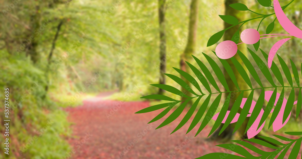 Image of leaves over trees in forest