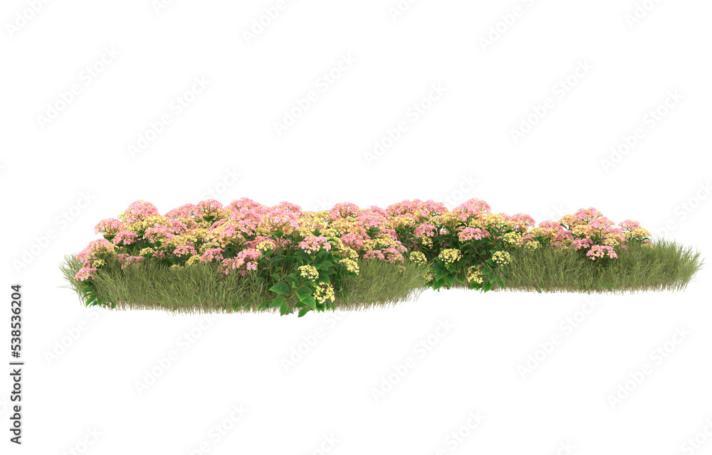 Field of grass with flowers on transparent background. 3d rendering - illustration